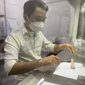 khóa học nuôi cấy mô tế bào thực vật